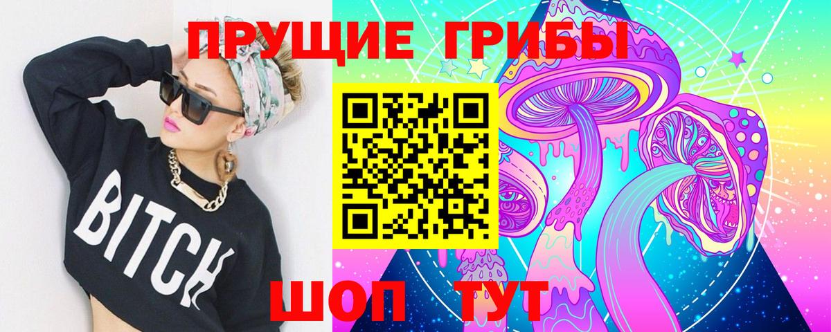 Красногорск  Галлюциногенные грибы мухоморы  дарнет шоп  Вход с VPN 