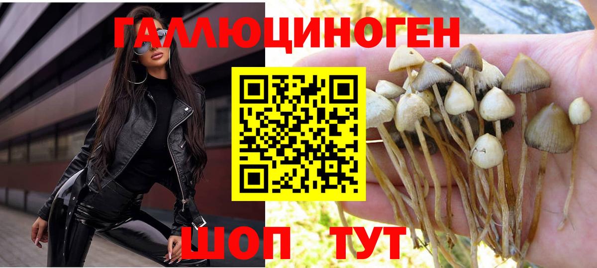 Галлюциногенные грибы Magic Shrooms Красногорск